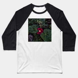 Early morning bloom Baseball T-Shirt